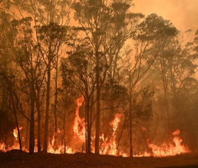 Australia reactiva alerta de peligro por reavivamiento de incendios