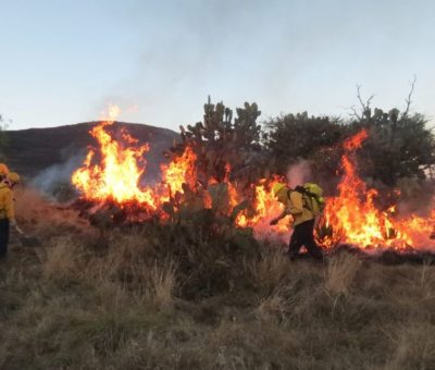 Brigadas forestales informaron que después de tres días lograron apagar incendio en los municipios de Xichú y Victoria