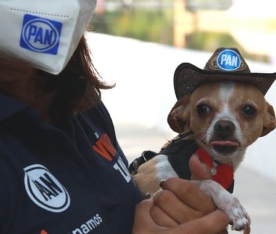 Firma Lorena Alfaro Compromiso por la protección animal