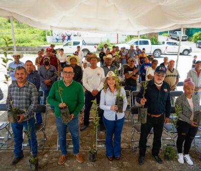 Productores capitalinos reciben más de 5 mil árboles frutales