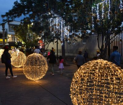 Irapuato invita al encendido de su Árbol Monumental