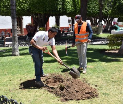 Ecología Municipal comunica cierre temporal de Calle Primavera