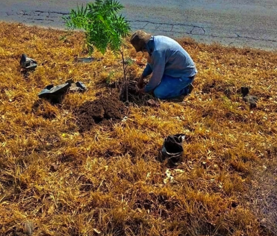 Reforestación y concientización del medio ambiente