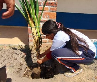 Actividad de arborización en Trojes de Marañón