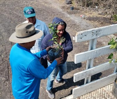 Ecología Municipal apoya arborización en Zapote de Peralta