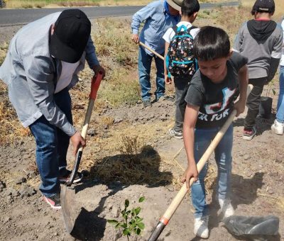 Arborizan áreas públicas en Alto de Medina