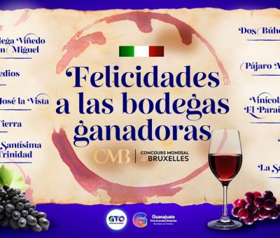 Vinos guanajuatenses se cuelgan 24 medallas en el ‘Concours Mondial de Bruxelles’