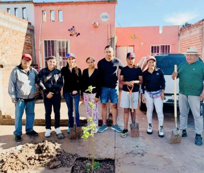 Conmemora Melanie Día Internacional del Árbol con jornada de reforestación 