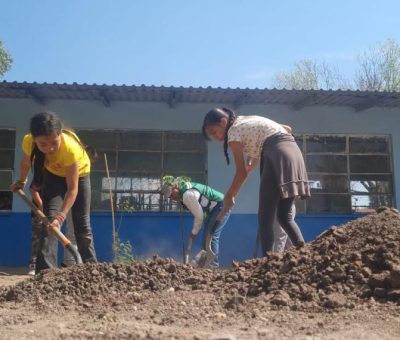 Arborizan espacios en Primaria de La Carroza