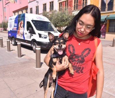 Trabajan junto a ciudadanos por bienestar de los animales