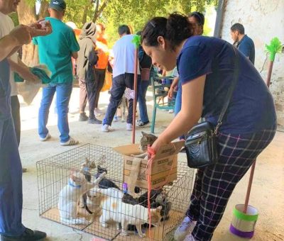 SSG atiende la zoonosis en la región de Salamanca desde un enfoque preventivo