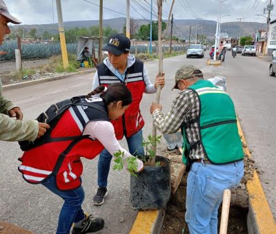 Llevan el programa Abasolo Verde a la Colonia Juárez