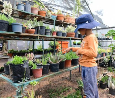 Invitan a disfrutar de un verano ecológico