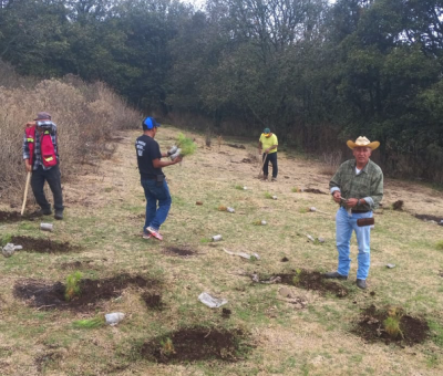 Se realizan trabajos de reforestación en el Cerro del Culiacán