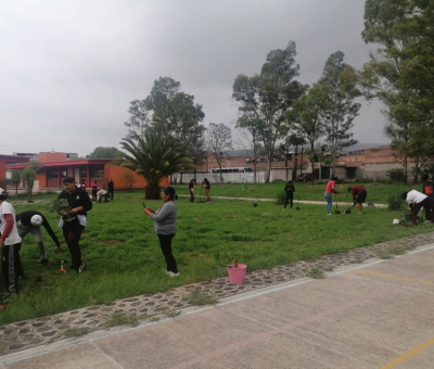 Capacitación con personal docente y alumnos para reforestar 140 árboles