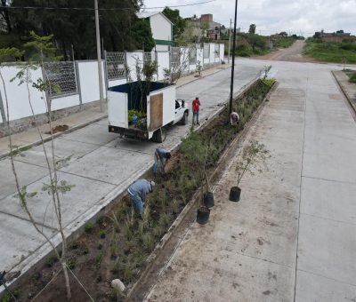 Purísima planta raíces para el futuro y oxigena el mañana