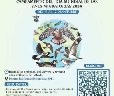 Invitan a Campamento del Día Mundial de las Aves