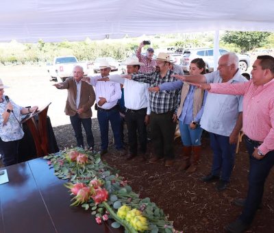 Conforman Asociación Agrícola de Productores de Pitahaya de Guanajuato