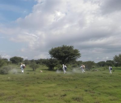 Trabaja Guanajuato en el control de chapulín en cultivos