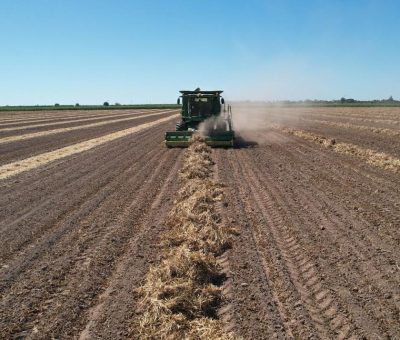 Anuncia la Secretaría de Agricultura «Estrategia Nacional de Transición Agroecológica 2024-2030», ante agrónomos de UAM