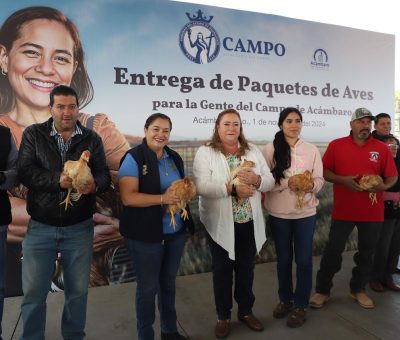 Entrega Secretaría del Campo 821 paquetes de aves de traspatio