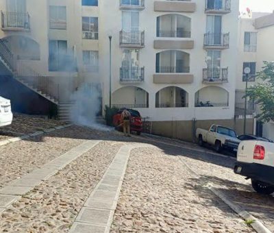 SSG aumenta actividades para la prevención del dengue en Guanajuato Capital