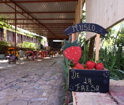 Develan escultura de la Fresa de Oro