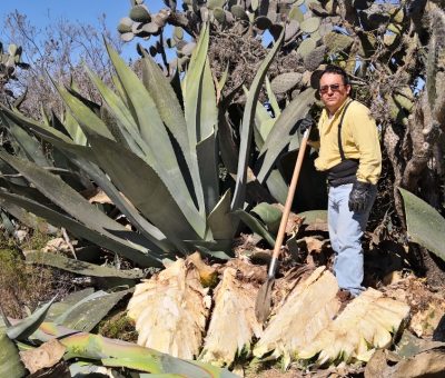 Mezcal de MIneral de Pozos gana Medalla de Gran Oro en el México Selection