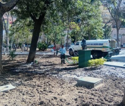 Dan mantenimiento anual a las azucenas en el Jardín del Cantador