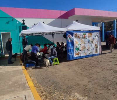 Esterilizan 57 perros y gatos en un día con jornada del Hospital Municipal Veterinario